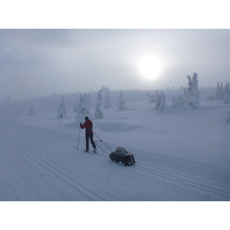 Scandinavian side bike kit ski