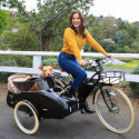 Scandinavian side bike Fiber hond zijspan - Groen