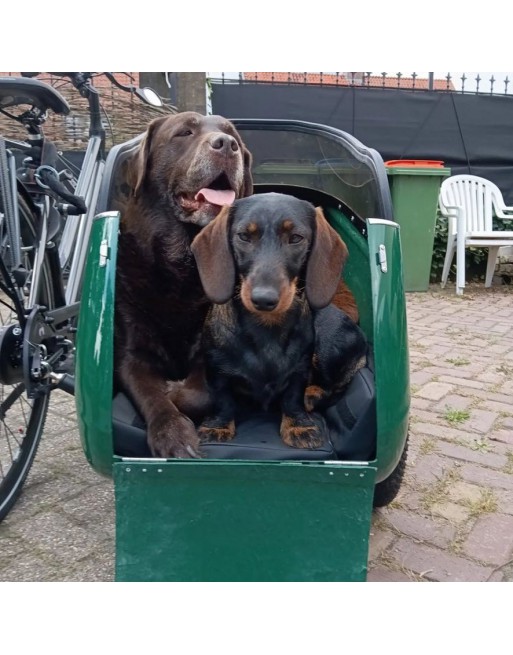 Scandinavian Side Bike for dog sidecar - Red