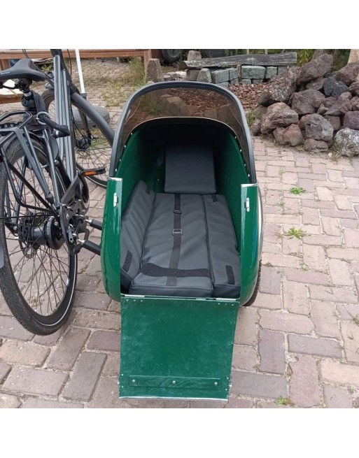 Scandinavian Side Bike for dog sidecar - Red