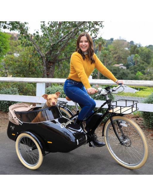 Scandinavian Side Bike for dog sidecar - Red