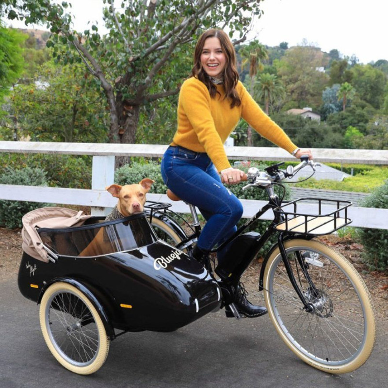 Scandinavian Side Bike for dog sidecar - Red