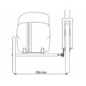 Scandinavian Side Bike for dog sidecar - Black