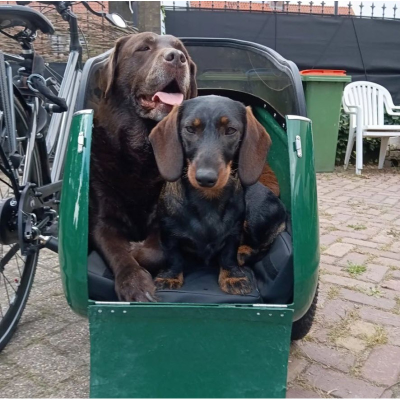 Scandinavian Side Bike for dog sidecar - Black