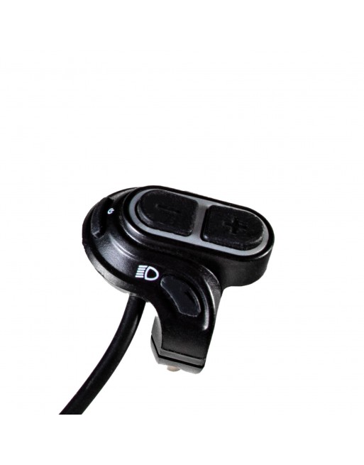 Cargo bike Ananda D10 display