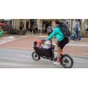 Mini vélo cargo pliant Muli Muskel - Bleu