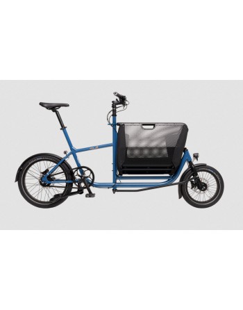 Mini vélo cargo pliant Muli Muskel - Bleu