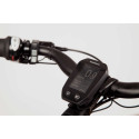 Vélo cargo pour chien Chike E-dog