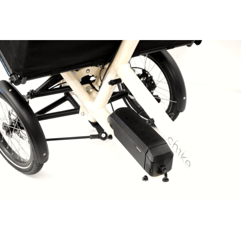 Vélo cargo pour chien Chike E-dog