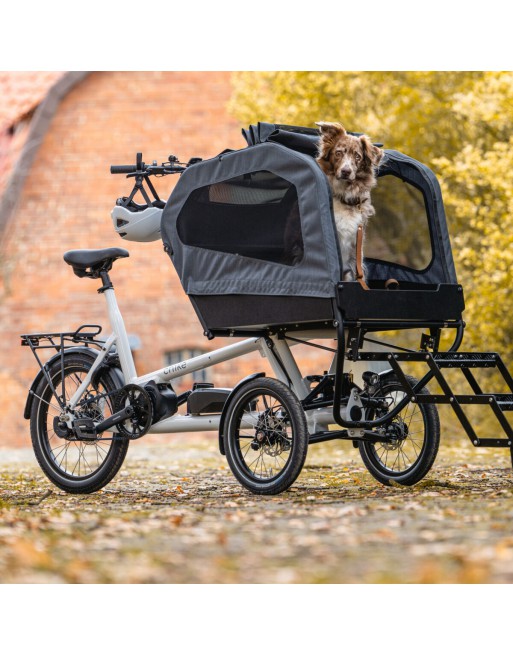 Vélo cargo pour chien Chike E-dog