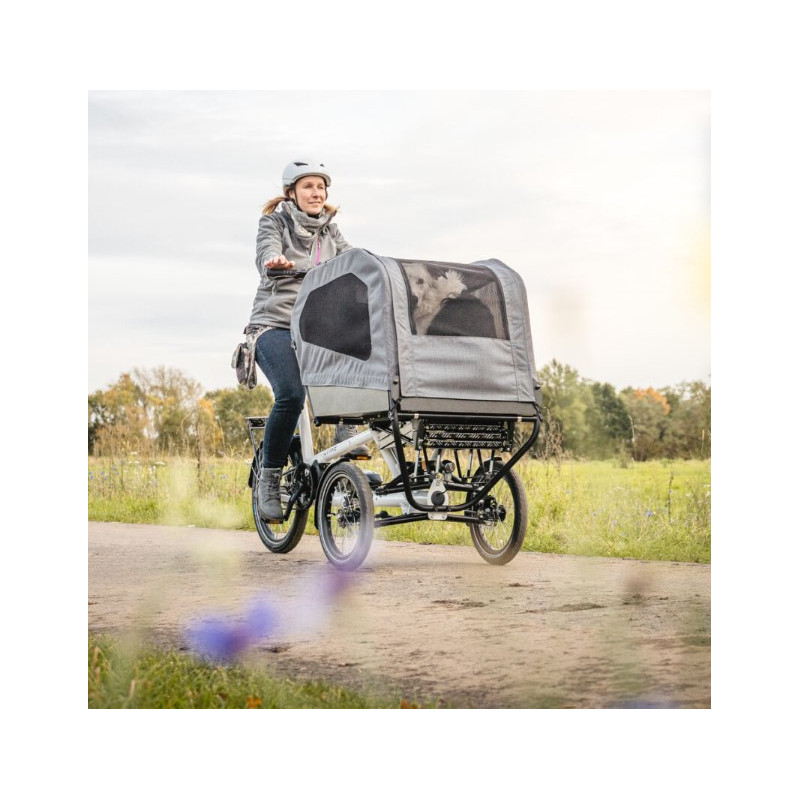 Chike E-Dog Hunde-Lastenfahrrad