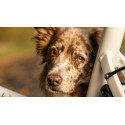 Chike E-dog dog cargo bike