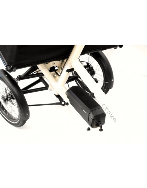 Chike E-dog dog cargo bike