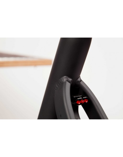 Chike E-dog dog cargo bike