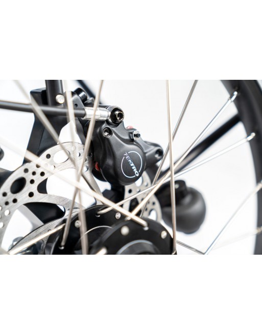 Chike E-Dog Hunde-Lastenfahrrad