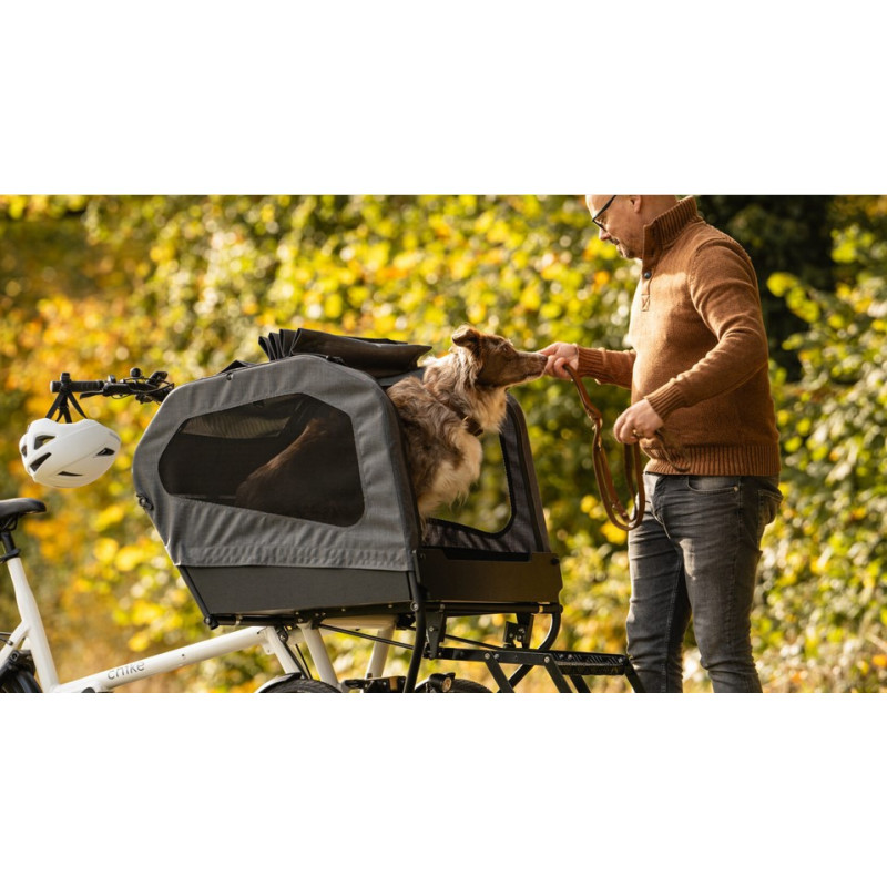 Chike E-dog dog cargo bike