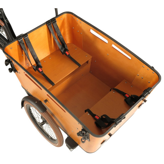 Vogue Carry 3 Elektrisches Lastenrad – Schwarz – 3-Rad Cargo Bike mit Mittelmotor