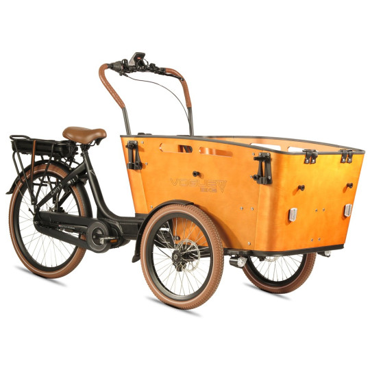 Vogue Carry 3 Vélo Cargo Électrique Tricycle – Brun – Vélo Cargo avec Moteur Central