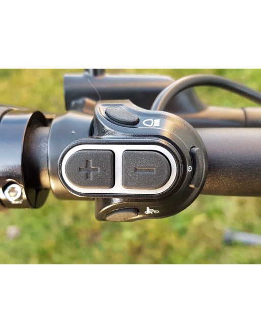 Vogue Carry 2 electric cargo bike Black - 2025