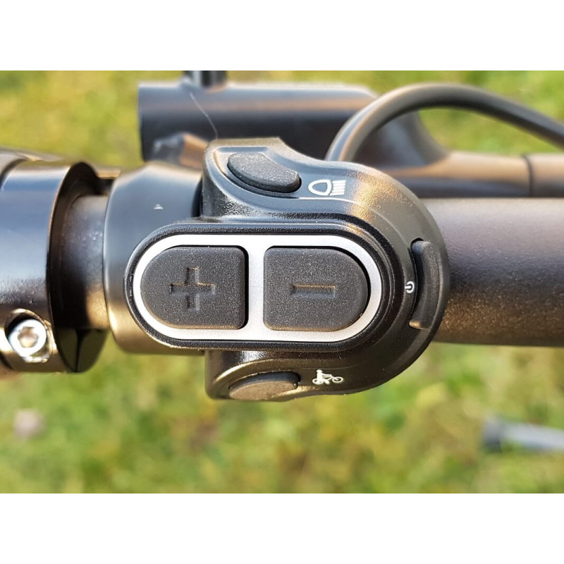 Vélo cargo électrique Vogue Carry 2 Noir - 2025