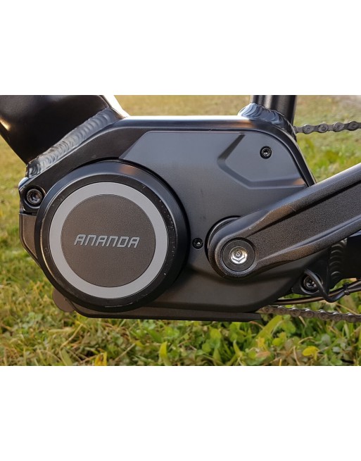 Vélo cargo électrique Vogue Carry 2 Gris - 2025