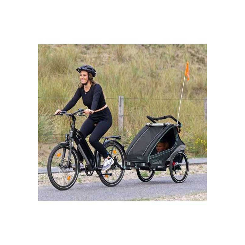 Qeridoo KidGoo 2 bike trailer