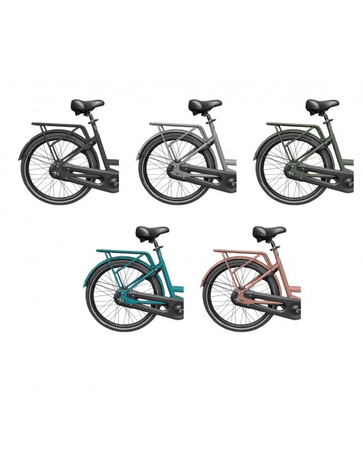 Dolly Bike bagagedrager in frame kleur 35 kg