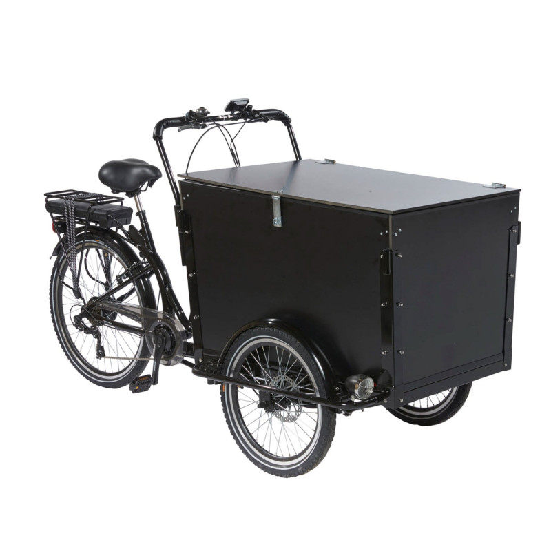 KidsCab Cargo Trike Lastenfahrrad mit abschließbarem Deckel