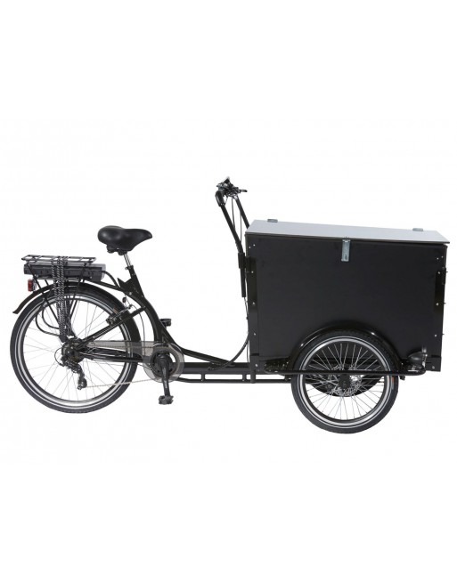 KidsCab Cargo Trike Lastenfahrrad mit abschließbarem Deckel