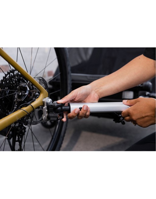 Thule Chariot sport 2 fietskar - Natural Gold