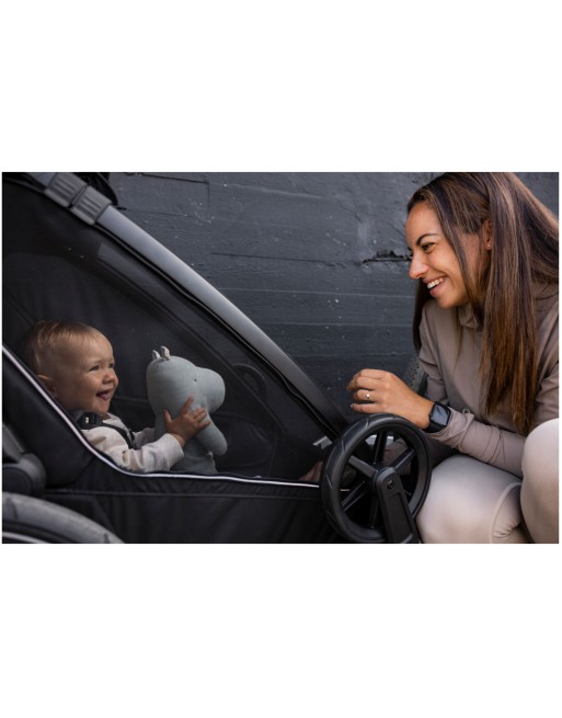 Thule Chariot Sport 2 Single Bike Trailer – Black