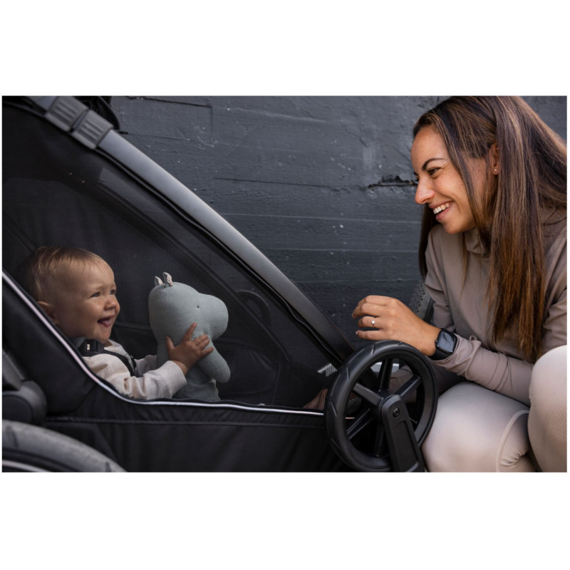 Remorque Vélo Thule Chariot Sport 2 pour 1 Enfant – Noir