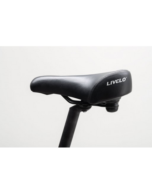 Livelo elektrische bakfiets