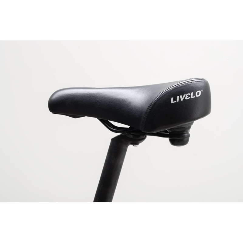 Livelo elektrische bakfiets