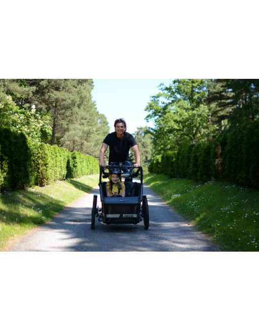 Livelo Elektro Lastenfahrrad