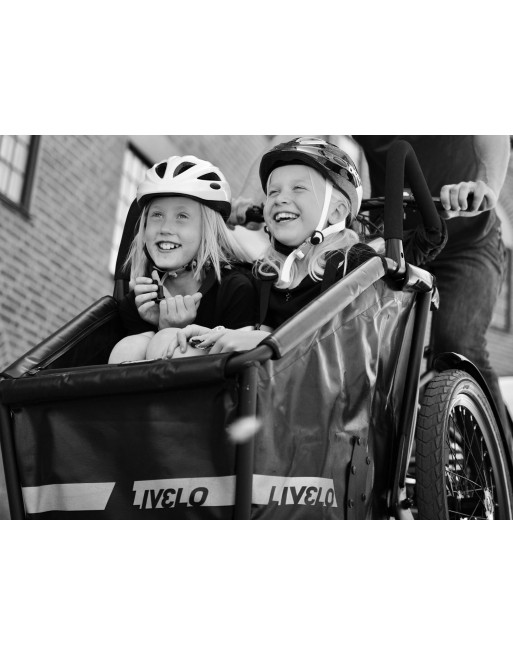 Livelo Elektro Lastenfahrrad