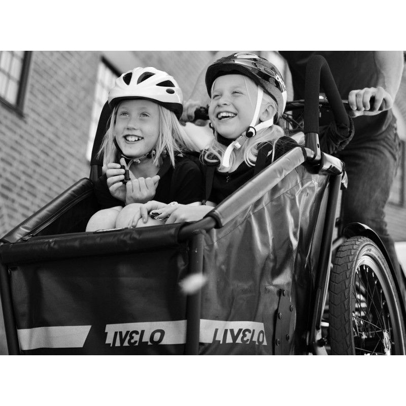 Livelo elektrische bakfiets