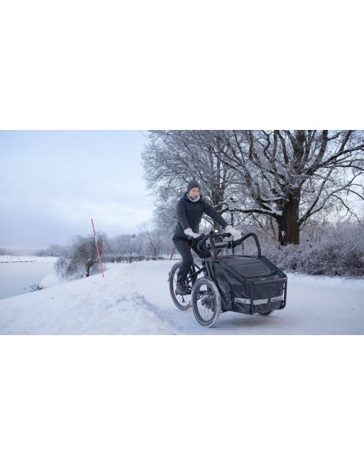 Livelo Elektro Lastenfahrrad