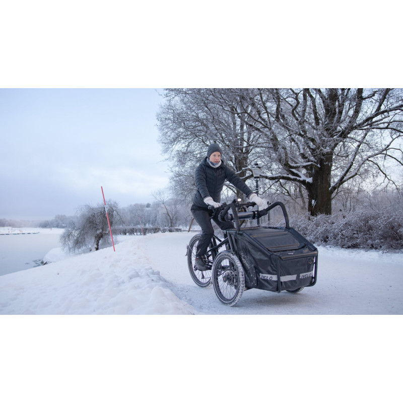 Livelo electric cargo bike
