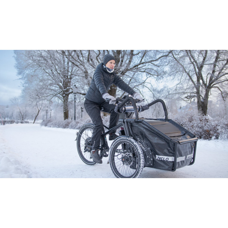 Livelo electric cargo bike