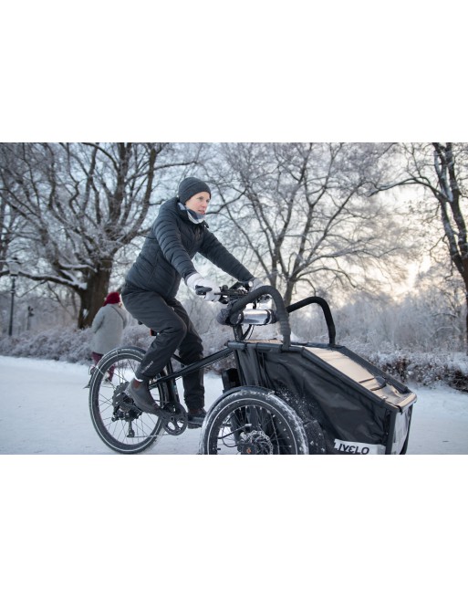 Livelo electric cargo bike