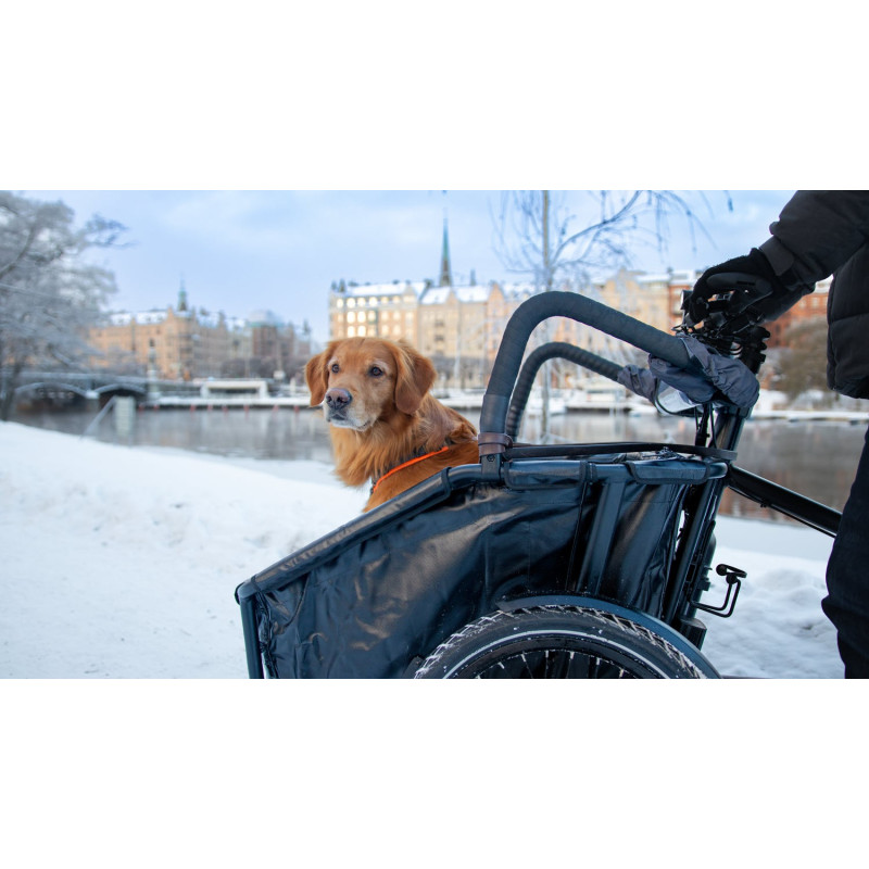 Livelo electric cargo bike