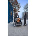 Vélo cargo électrique Livelo