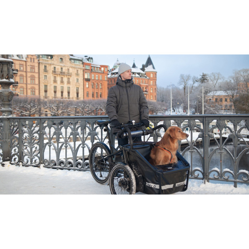 Livelo elektrische bakfiets