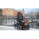 Livelo elektrische bakfiets