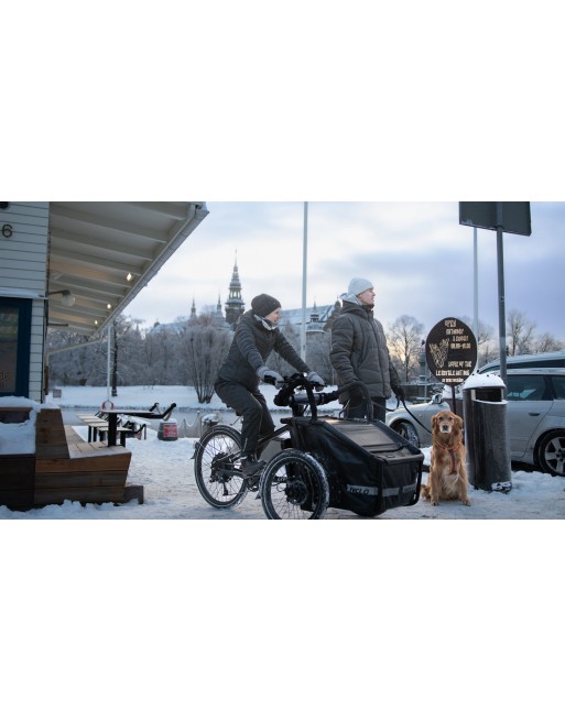 Livelo electric cargo bike