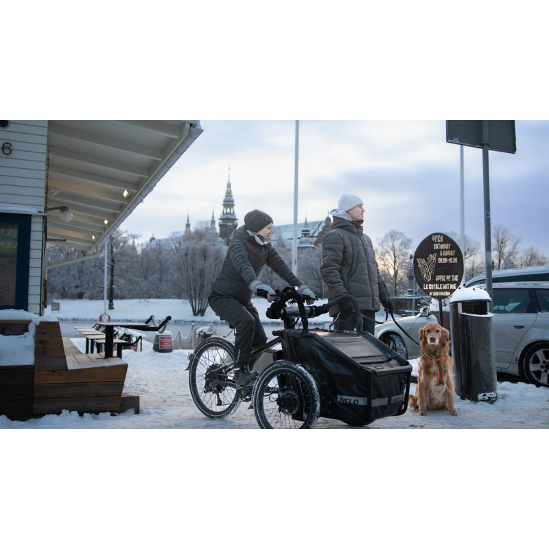 Livelo electric cargo bike