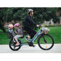 KidsCab Longtail SUM Alpa vert