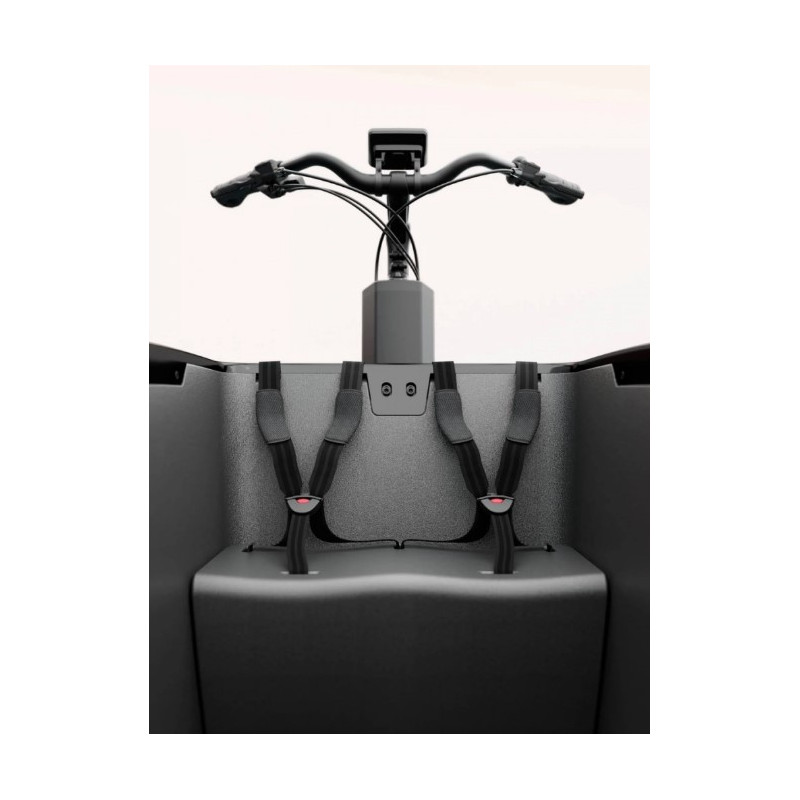 Tenways cargo one bakfiets