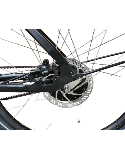 KidsCab Cares 4 bakfiets - Gates Carbon Drive